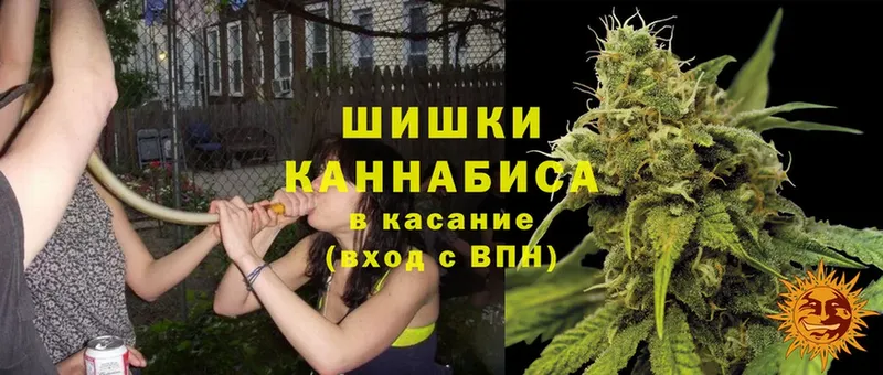 купить наркотики сайты  Отрадная  Каннабис THC 21% 